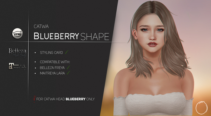 Catwa Bento Head Blueberry Shape 1.0