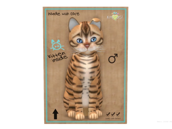 KittyCatS Box - 8 T - M - Toyger - Tan