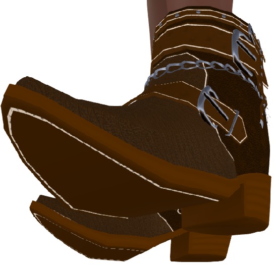 Western Ankle Boots