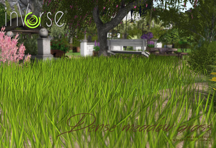Dense meadow grass V2 BXD