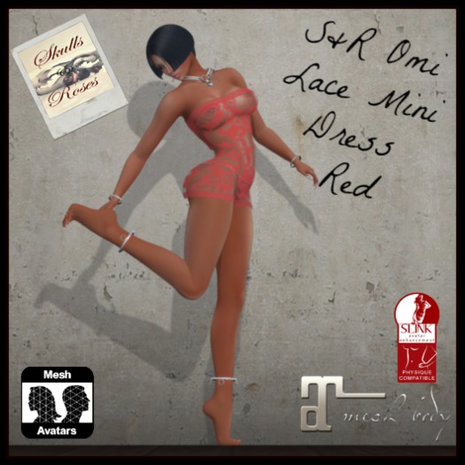 S&R Omi Lace Mini Dress ~Red~ Maitreya & Slink P