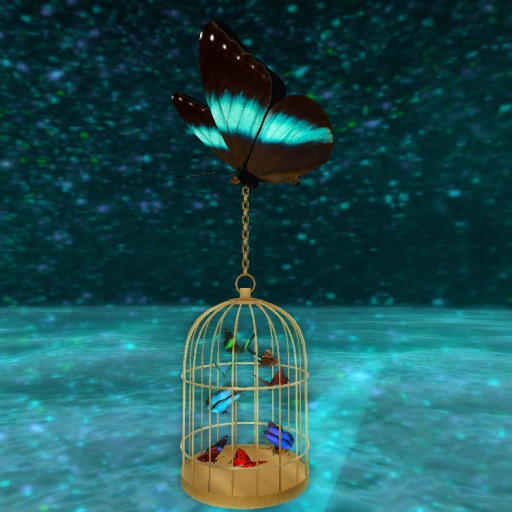 12 Fairy Islands "Colors Caged Butterflys"