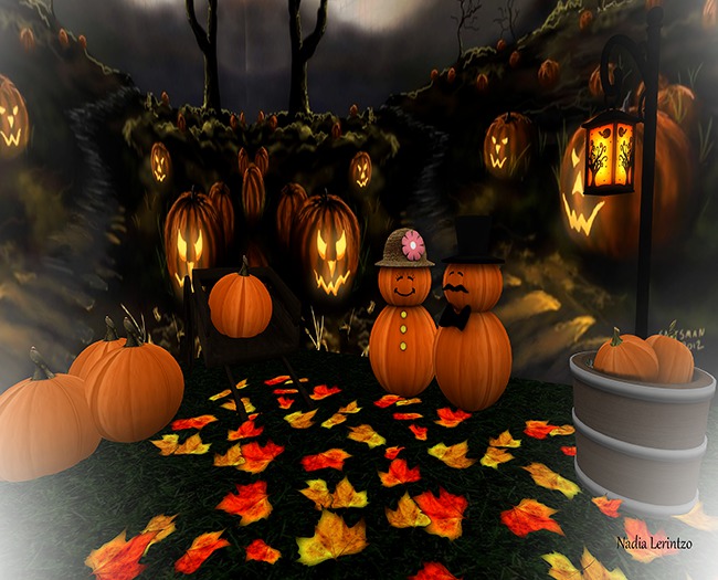 Backdrop Couple Pumpkin box
