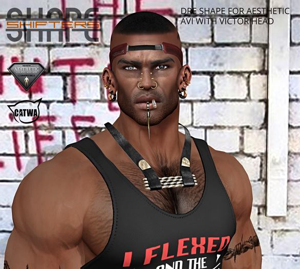 Second Life Marketplace - [SHAPEshifters] DRE SHAPE FOR AESTHETIC AVI ...