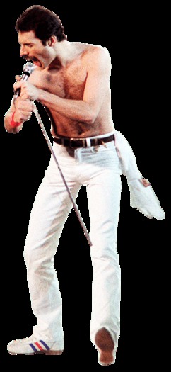 FRED MERCURY