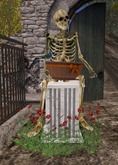 Old Bones Trick or Treat