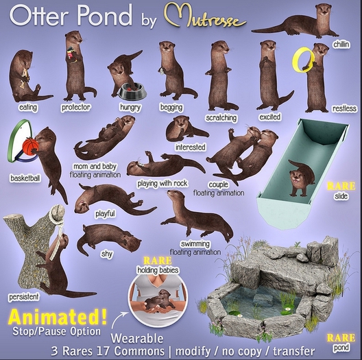 Mutresse Basketball Otter Pond