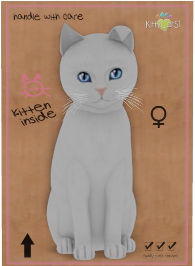 KittyCatS Box - Russian - White