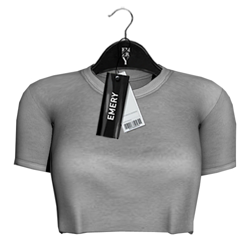 Emery Colorado Cropped Tee Gray