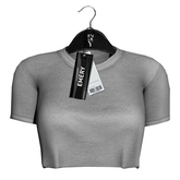 Emery Colorado Cropped Tee Gray