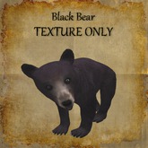 Bad Katz Black Bear TEXTURE ONLY