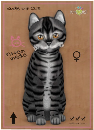 KittyCatS Box - Toyger - Coal