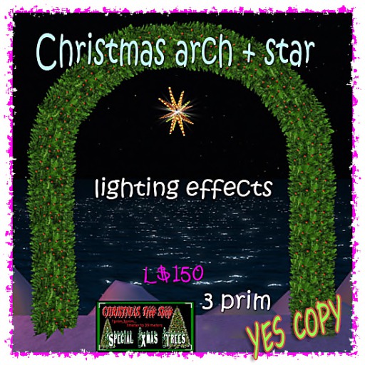 Christmas arch + star 