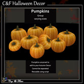 C&F Halloween Decor - Pumpkin Group (Cannot Unlink)
