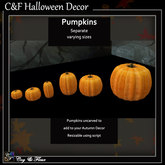 C&F Halloween Decor - Pumpkin Assortment (Unlinked)