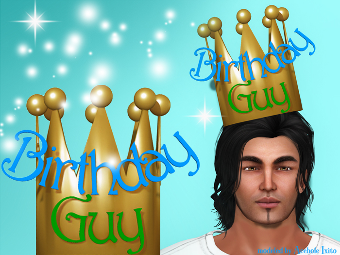 Birthday Guy Crown
