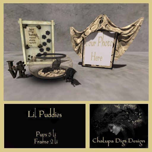 lil Puddies