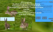 Mesh Realistic Rabbit Hare Bunny NC Config Path maker BXD