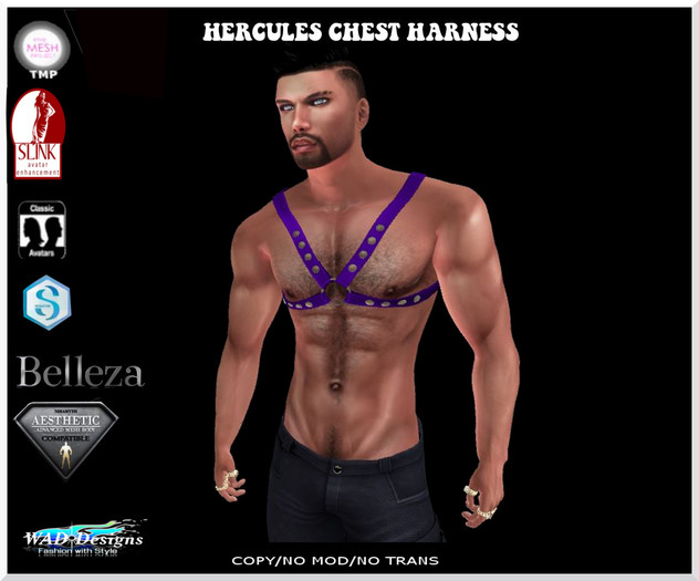 HERCULES CHEST HARNESS PURPLE