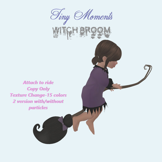 [Tiny Moments]- Witch Broom