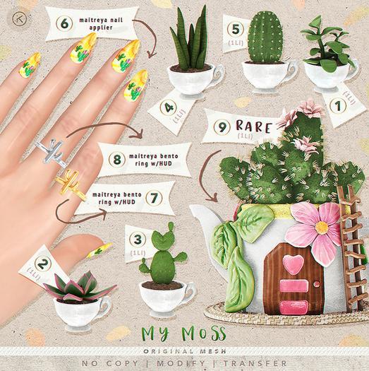 kotte - my moss - 8