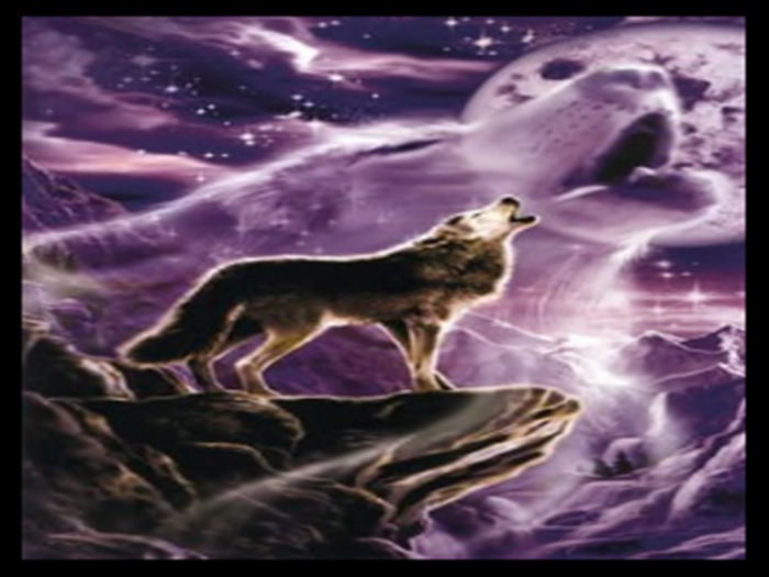 Picture Frames - Wolves (8 different types)