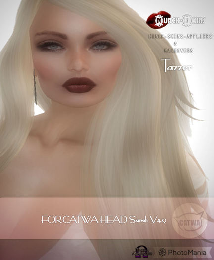 Tazzer-v1-Light reg-Skin-shape-and-Skin-Applier-Demos-Only