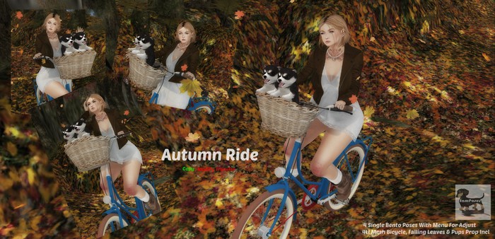 Autumn Ride
