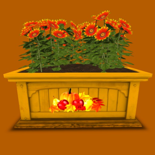 Autumn Mums Planter, 7 Color Touch Menu, 4 Li , Bagged