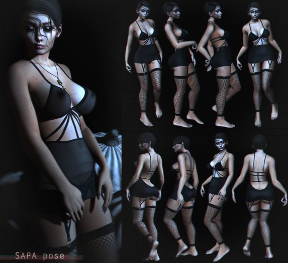 SAPA poses (v10)