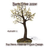 T-Spot Mesh - Bare Tree 2014 Autumn 2 - Full Perm - LI=3.7