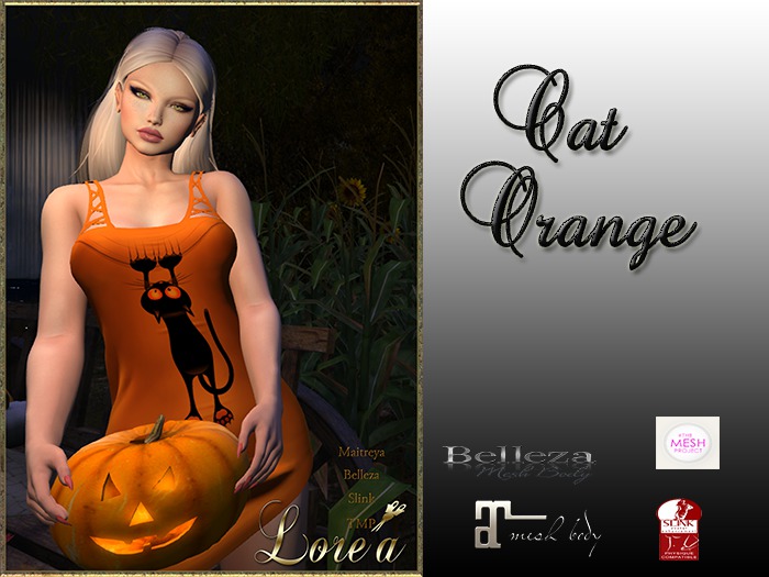 LR-Dress Cat Orange