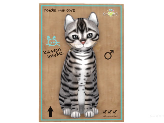 KittyCatS Box - 9 T - M - Toyger - Silver