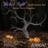 [CIRCA] Pkg - "Wicked Night" - Outdoor Halloween Set
