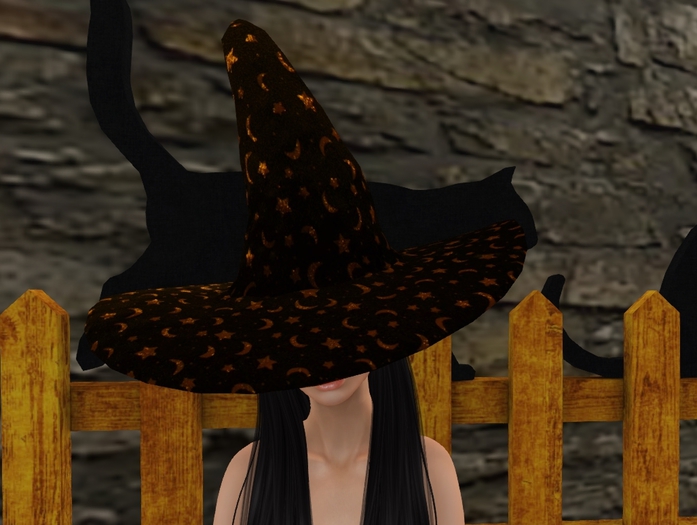 *TGL* Witch Hat ~ RP Pack