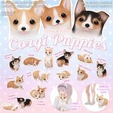 +Half-Deer+ Corgi Puppy - Zoomies 1