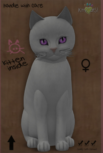 KittyCatS Box - 8T-Russian W.-Retired Eyes