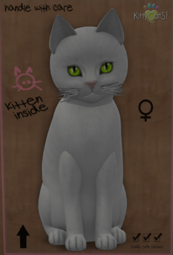 KittyCatS Box - 8T-Russian Wh.-Retired Eyes