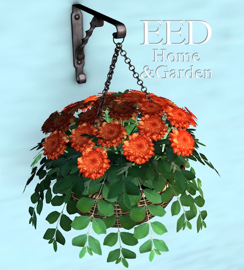 HANGING BASKET w CHRYSANTHEMUM c