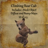 Bad Katz Climbing Bear Cub