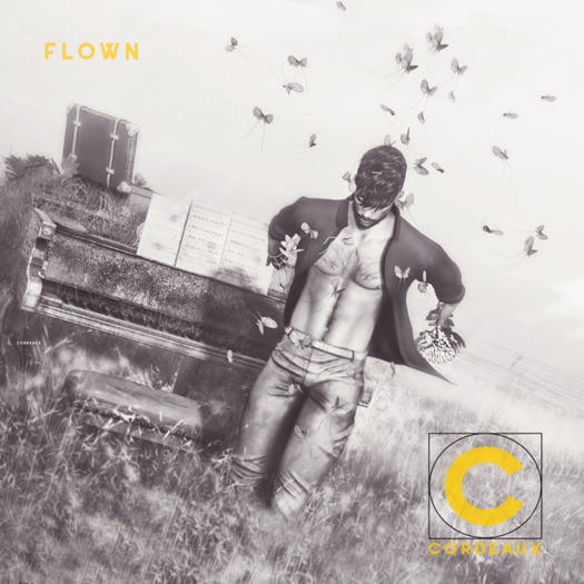 CORDEAUX || Bento Pose + 1 Bonus | Flown