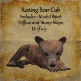 Bad Katz Resting Bear Cub