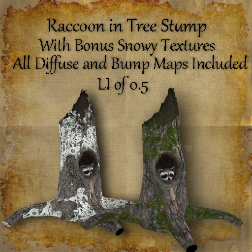 Bad Katz Raccoon in Tree Trunk