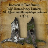 Bad Katz Raccoon in Tree Trunk