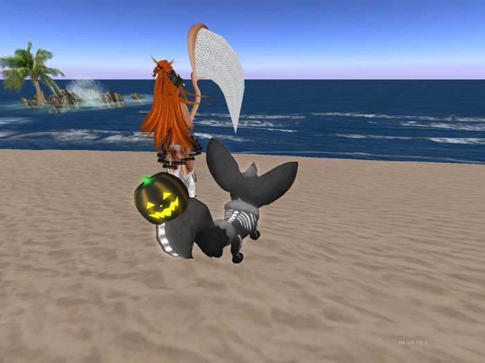 {K.P} Vulpup-Pumpkin-blk/ylw-