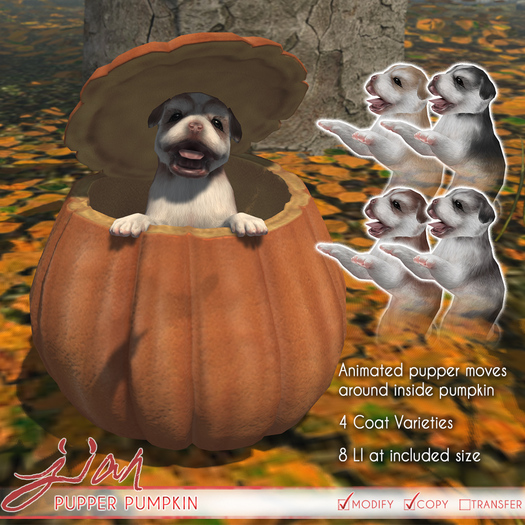 JIAN Pumpkin Pupper (Wear to unpack!)