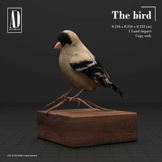 AD DECORAM // The bird