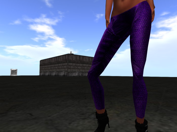 ! Bliss Basic ! Ordin Legging (Electric Purple)