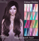{Limerence} Sally hair-Colour Ombre
