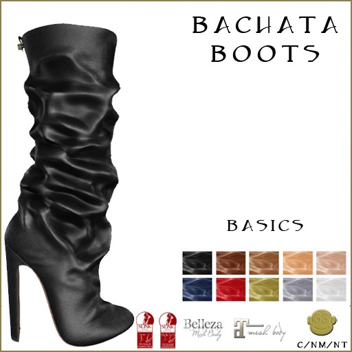 BM Bachata Boots Basics DEMO